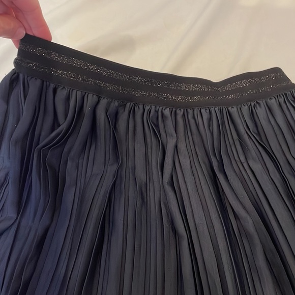 Zara Navy Pleated Skirt - Picture 7 of 7